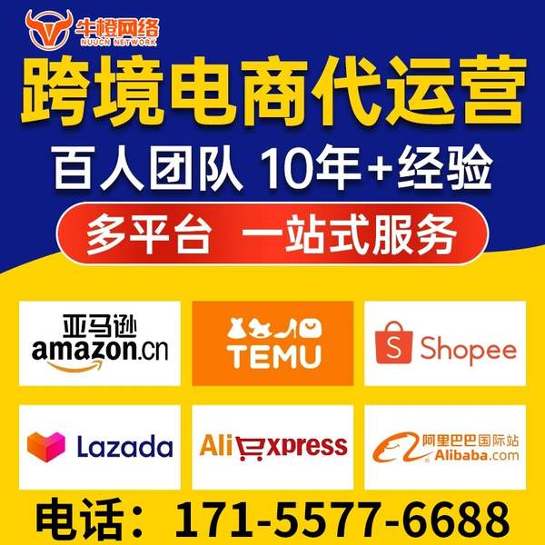 鄂尔多斯电商代运营