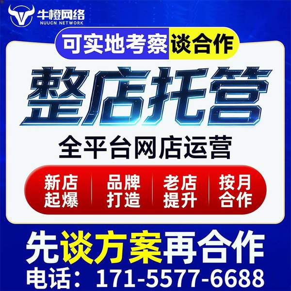 鄂尔多斯电商代运营