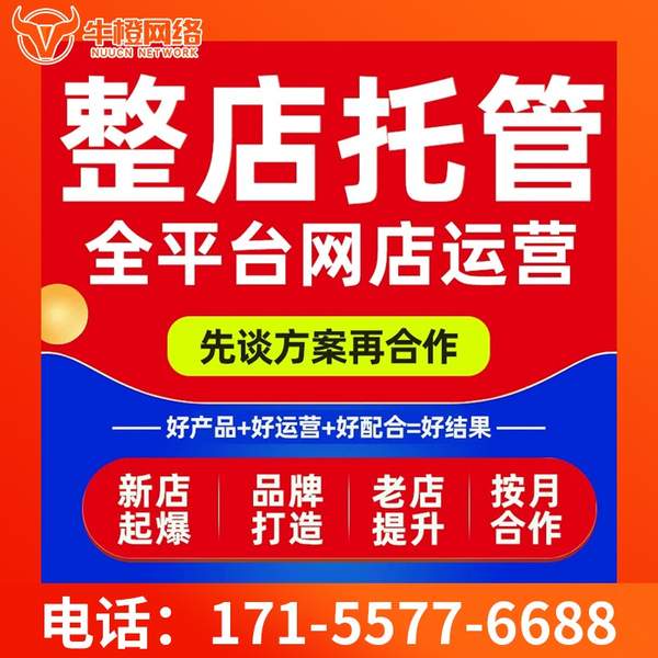 鄂尔多斯电商代运营