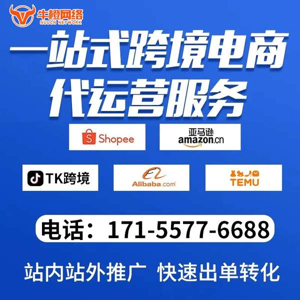 鄂尔多斯电商代运营