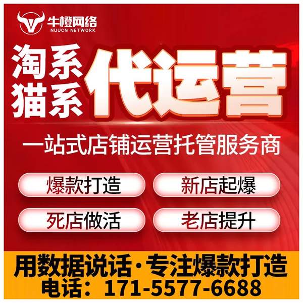 鄂尔多斯电商代运营